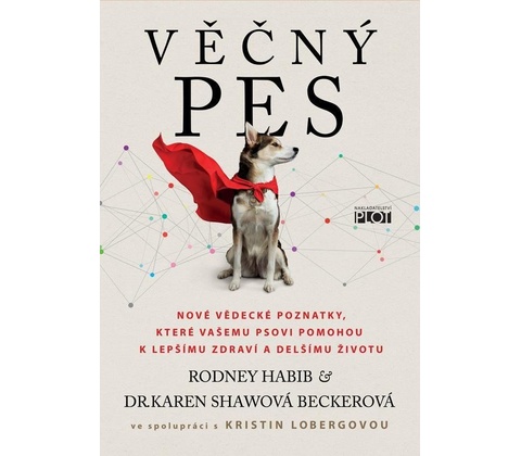 Věčný pes