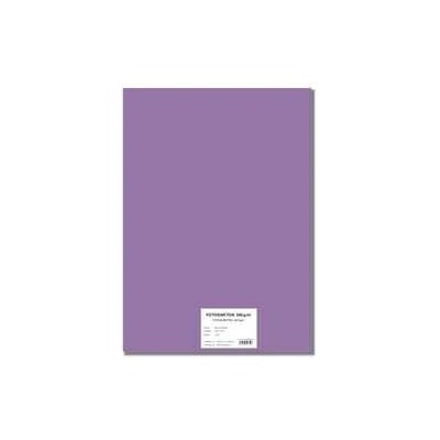 STEPA Barevný karton EXTRA 300g 50x70cm - fialový 10listů