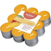 Bolsius Tealight True Scents Mango 18 ks