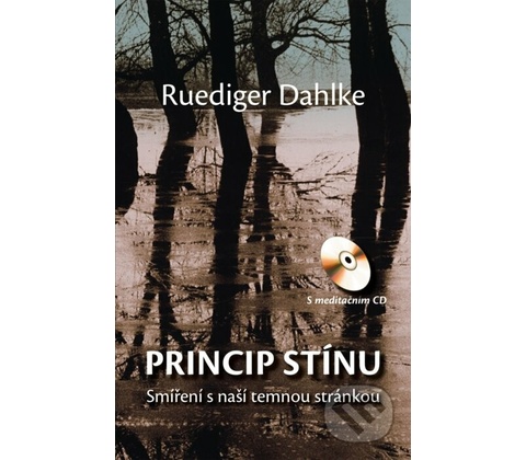Princip stínu