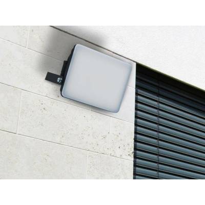 Nedes LF7022
