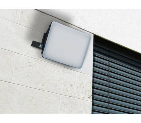 Nedes LF7022