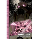 Teenage Mutant Ninja Turtles: The IDW Collection Volume 10