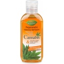 BC Bione Cannabis Regeneračný šampón na vlasy 80 ml