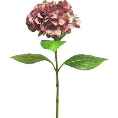 Hortenzie - Hydrangea Rosanna fialová / mauve V66 cm