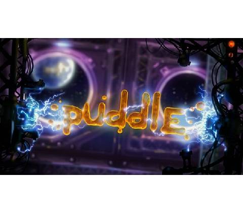 Puddle