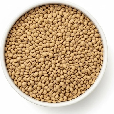 Les Fruits du Paradis Alfalfa semínka BIO 250 g