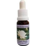 PHI Essences За духовно осъзнаване - Есенция Виктория Регия № 20, капки 15 ml (20 AMAZON)