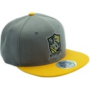 Harry Potter Hufflepuff Snapback