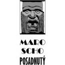 Posadnutý