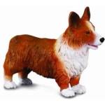 CollectA DOG WELSH CORGI Figure (M)