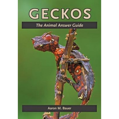 Aaron M Bauer - Geckos – Hledejceny.cz