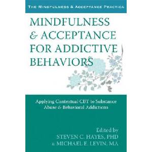 Mindfulness and Acceptance for Addictive Behaviors | Steven Hayes (ISBN: 9781608822164)