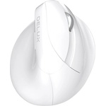 Delux M618Mini White