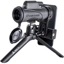 Vanguard 10x42 VESTA