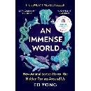 Immense World