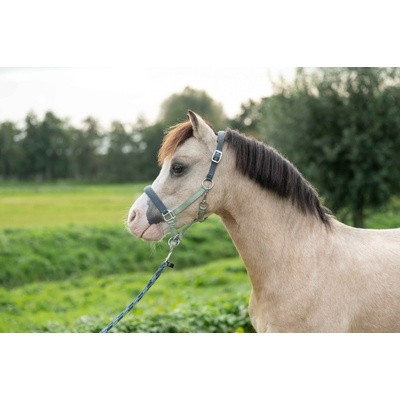 HKM pro poníky Barnie – Hledejceny.cz