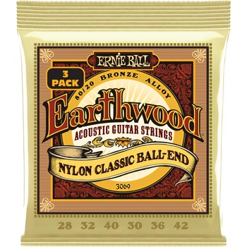 Ernie Ball 3069