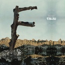 FEIST: METALS LP
