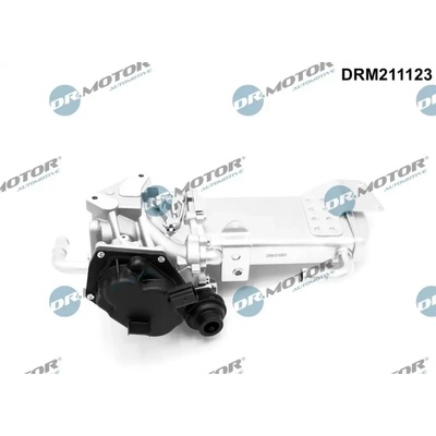 Dr.Motor Automotive AGR ventil DMA DRM211123