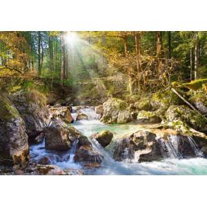 Castorland - Puzzle Forest Creek - 2 000 piese