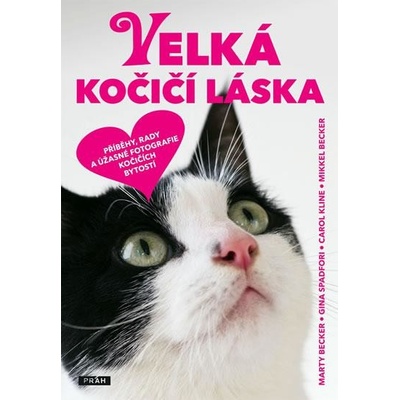 Velká kočičí láska