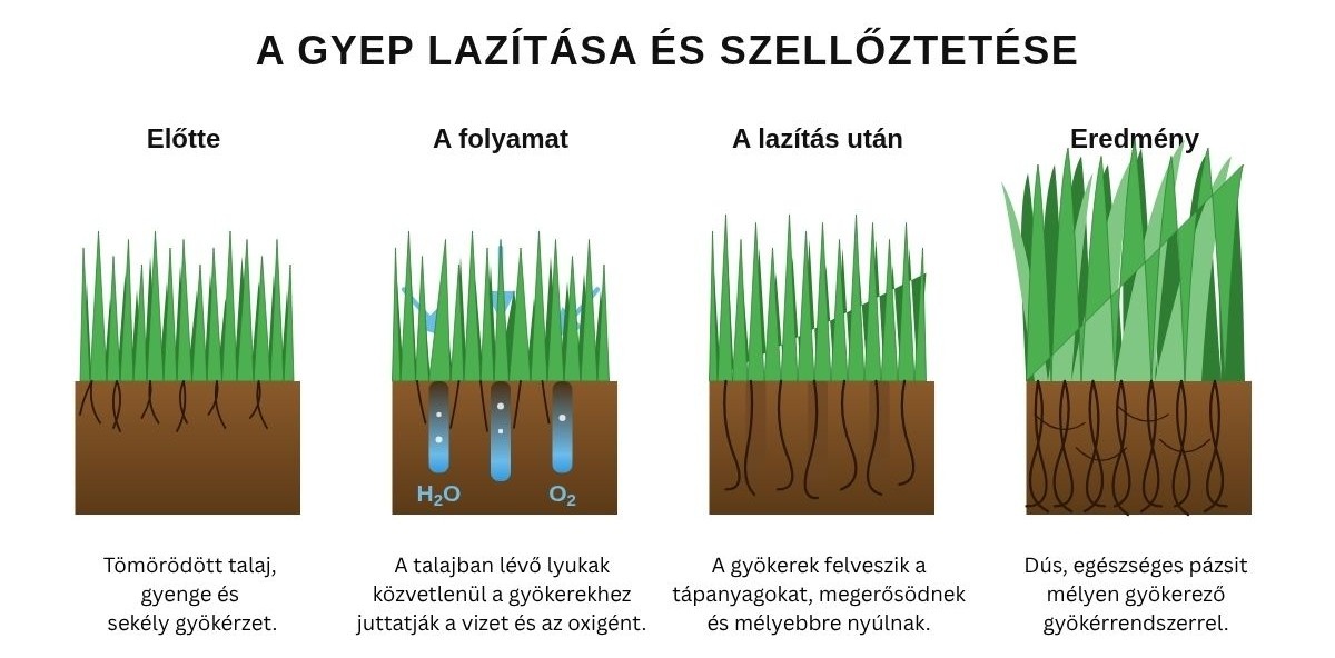 A gyep lazításának folyamata