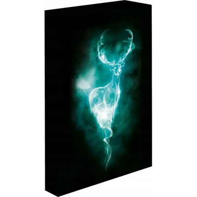 Paladone Svítící obraz Harry Potter - Patronus