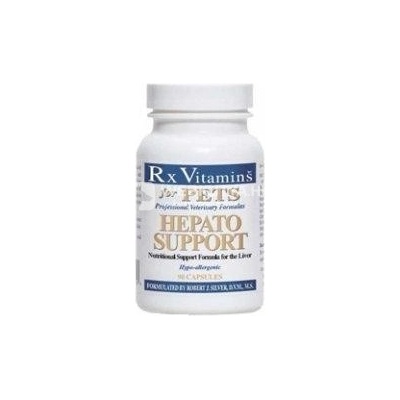 Rx Vitamins Hepato Support 90 ks