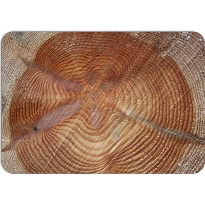 PokojovaDekorace.cz Prostírání 039 Imitace dřeva 43x30cm