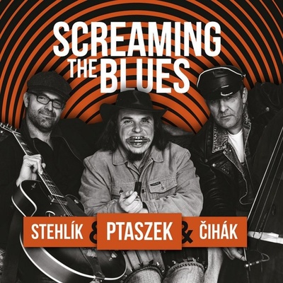 PTASZEK MATEJ, JAN STEHLIK, JAN CIHAK - SCREAMING THE BLUES CD