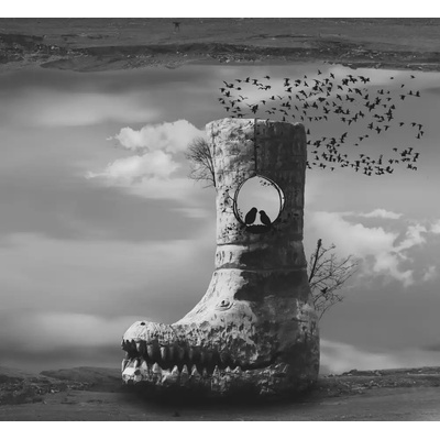 Fotografie - Rahnama, Barbad: Nové narození - reprodukce obrazu