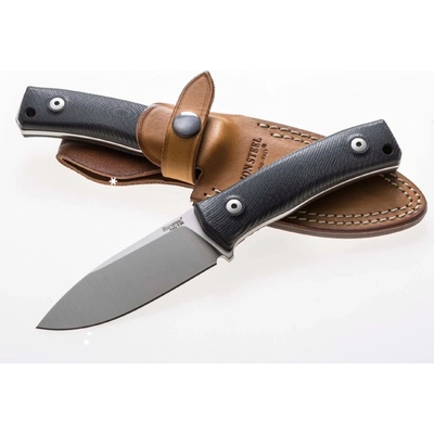 Lionsteel M4 G10