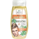 BC Bione Cosmetics šampon proti lupům pro muže Cannabis 250 ml
