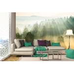 DIMEX ART Самозалепваща се флизелинова фототапета слънчеви лъчи 375 x 250 см
