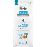 Brit Grain-free Junior Large Breed Salmon & Potato - със сьомга, за едри породи от 3 до 24 месеца, 12 кг