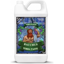 Terra Power Bacchus Terra Taste 1 l