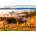 Enjoy - Puzzle In the Vineyards - 1 000 piese