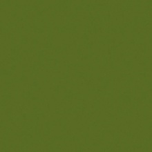 Efcolor 10 ml olivová