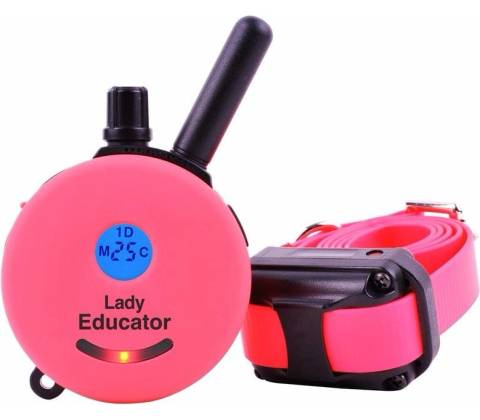 E-Collar Mini Educator ET-300