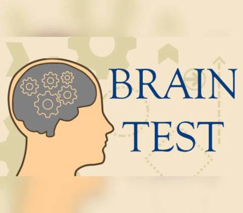 Brain Test