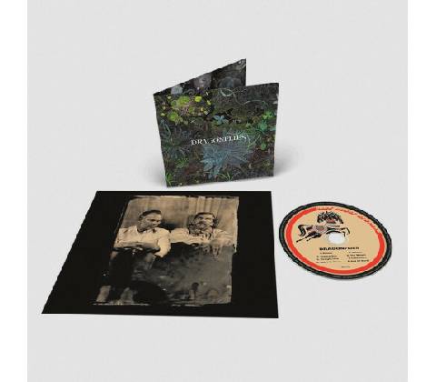 Dragonflies - Dragonflies CD