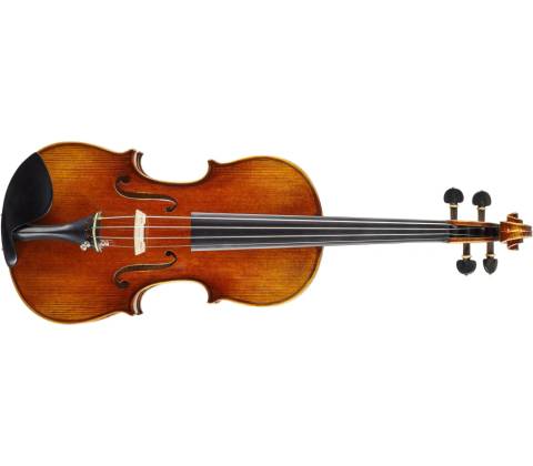 Bacio Instruments AVA100S