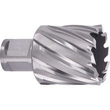ABSE N-HS-W19-0380025