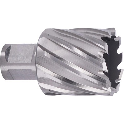 ABSE N-HS-W19-0380025