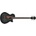 Ibanez AEGB25E
