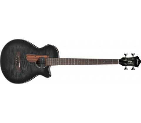 Ibanez AEGB25E