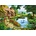 Bluebird Puzzle - Puzzle Steve Crisp: Cottage by the Lake - 500 piese