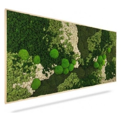 Machový obraz ORTHO FOREST, 40x40cm, drevený čierny rám