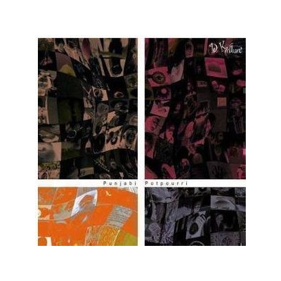 V/A - Punjabi Potpourri CD